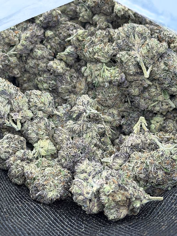 Exclusive Blue Nerds