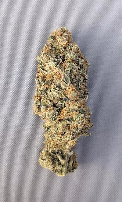 Review image 1