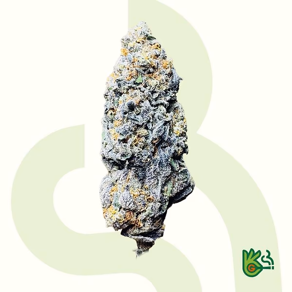 Sunset Sherbert *Frete grátis*