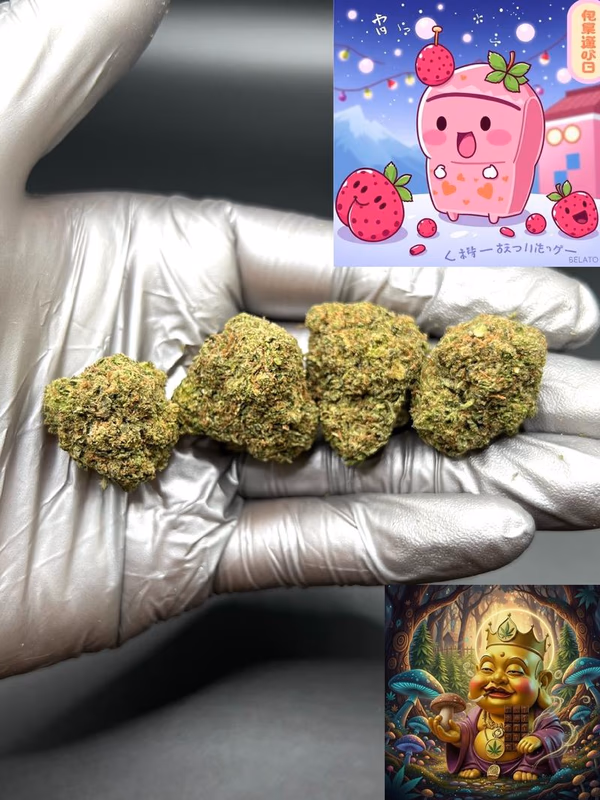 BERRY GELATO