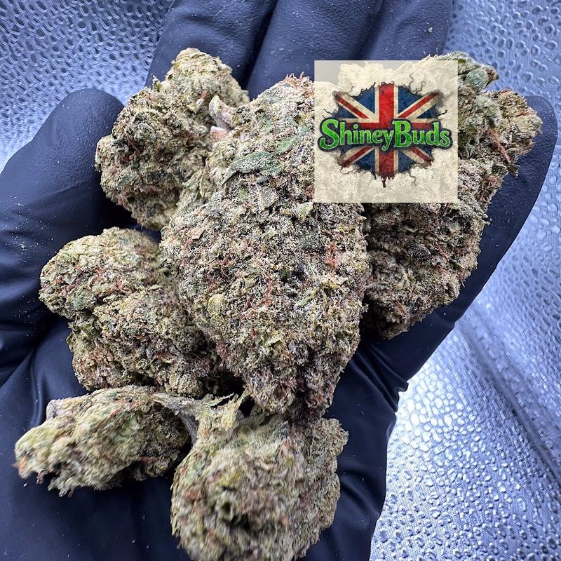 🇺🇸 Butter Peacan (Mids) 2