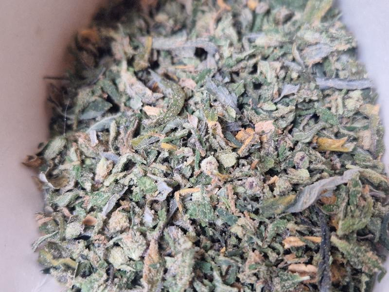 Shake n trim 3