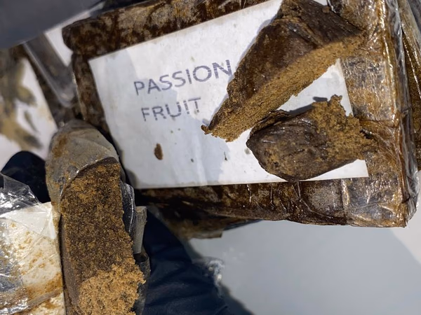 Shark 🦈 stamp 120u PASSION FRUIT