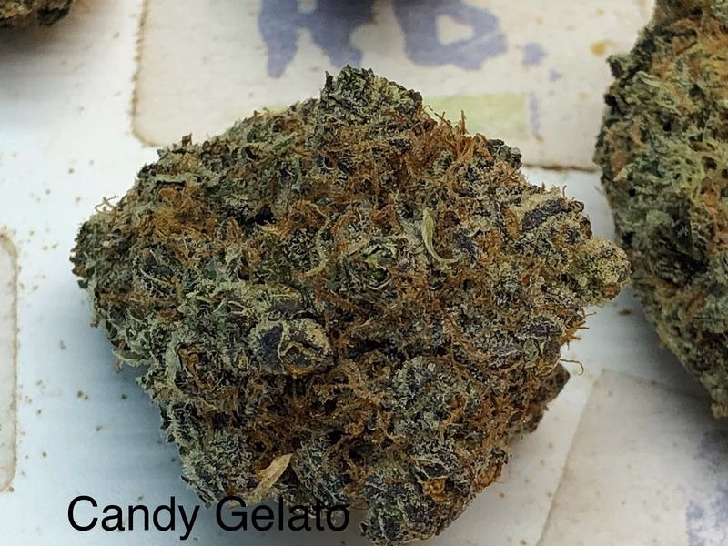 UK Exotics 6