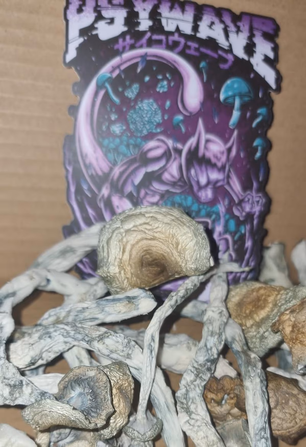 Hell Hound Mushrooms