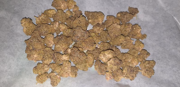 Rozzy Flower Listing