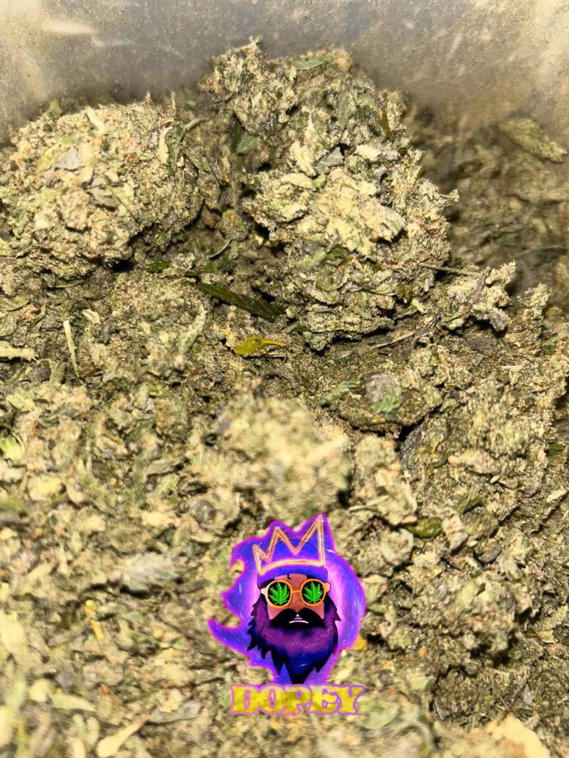 Shake Dust Mix