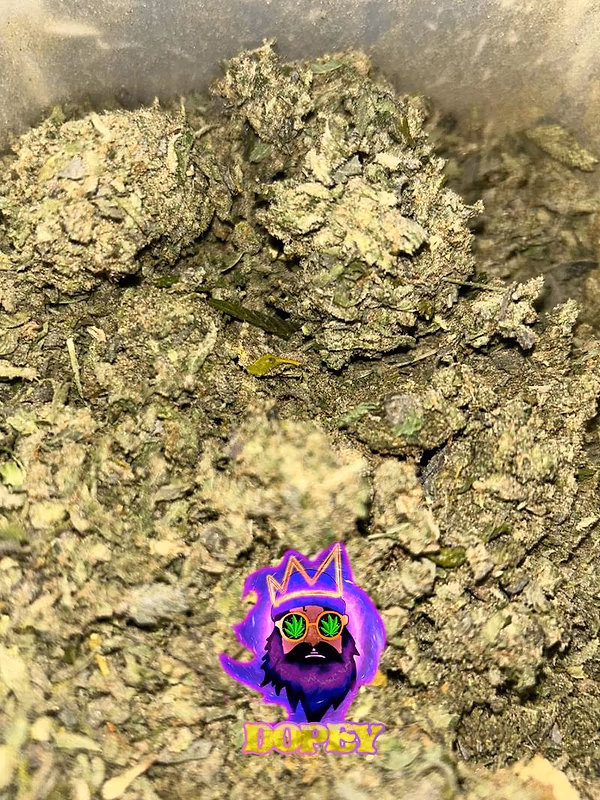 Shake Dust Mix