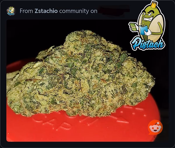 MEGAN FOX - SILVER FOX X RUNTZ COM FRETE GRÁTIS