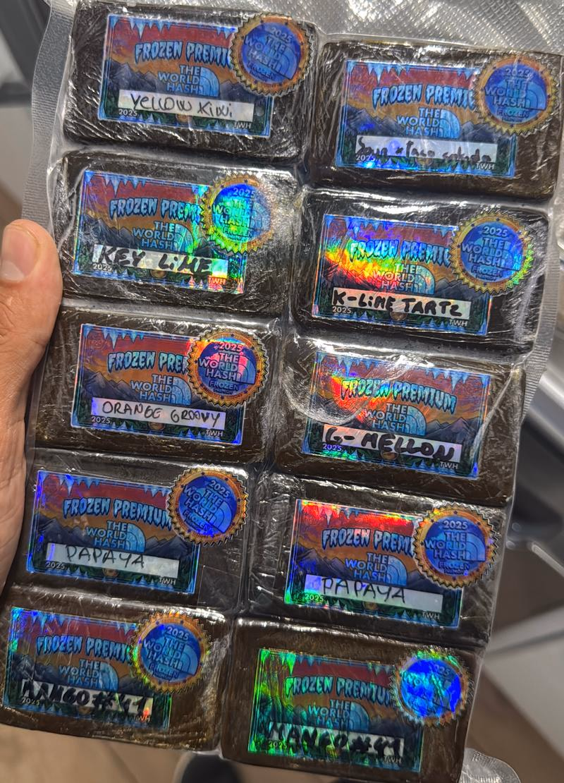 World Hash Premium 2025