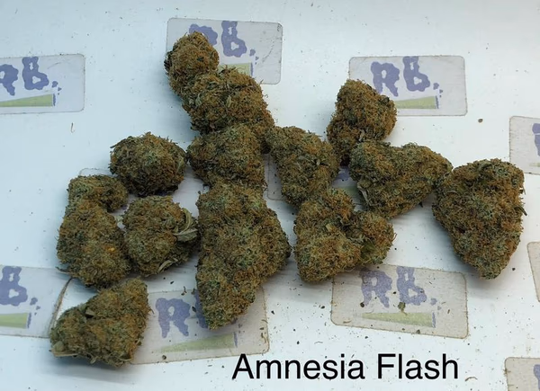 Amnesia Flash Top Shelf UK image