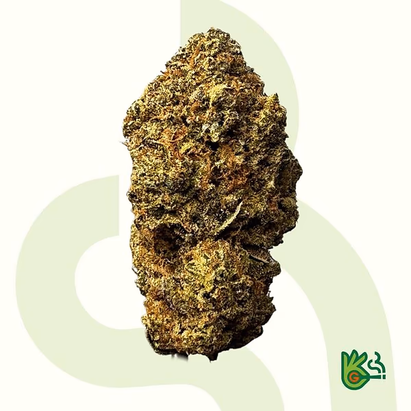 Sorvete de Animais *Frete Grátis*