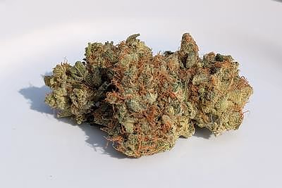 Review image 3