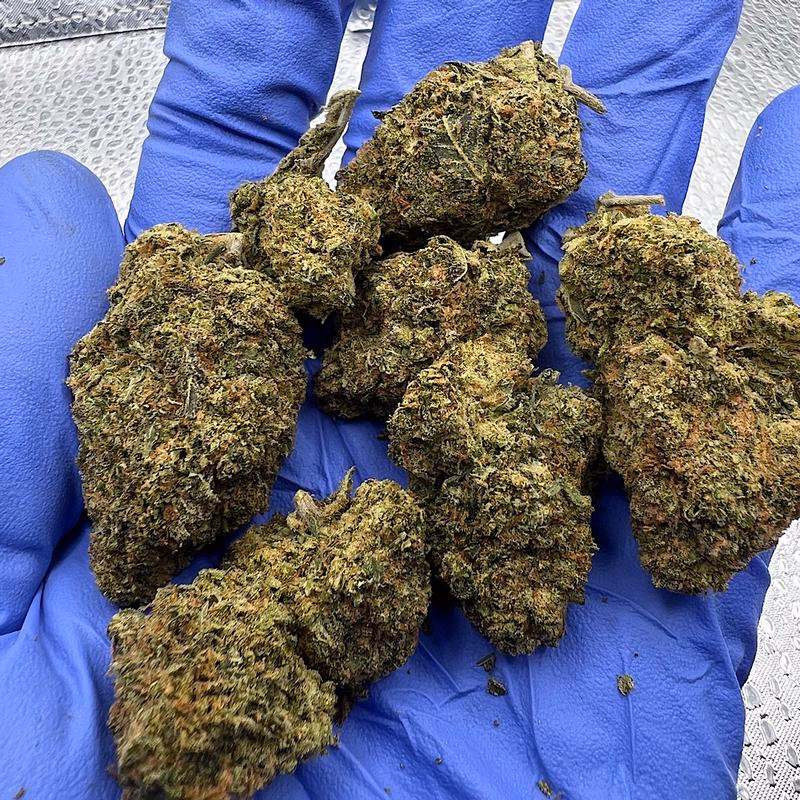 🇺🇸 Jellyz (Mids) 2
