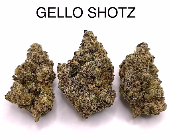 GELLO SHOTZ (TOP SHELF)
