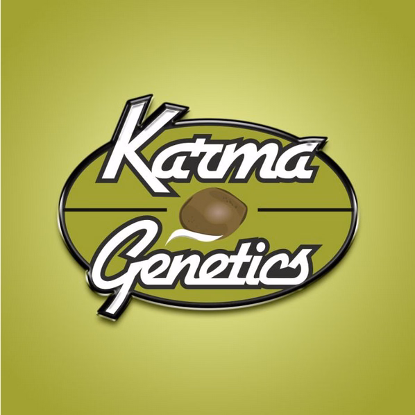 Karma Genetics 4