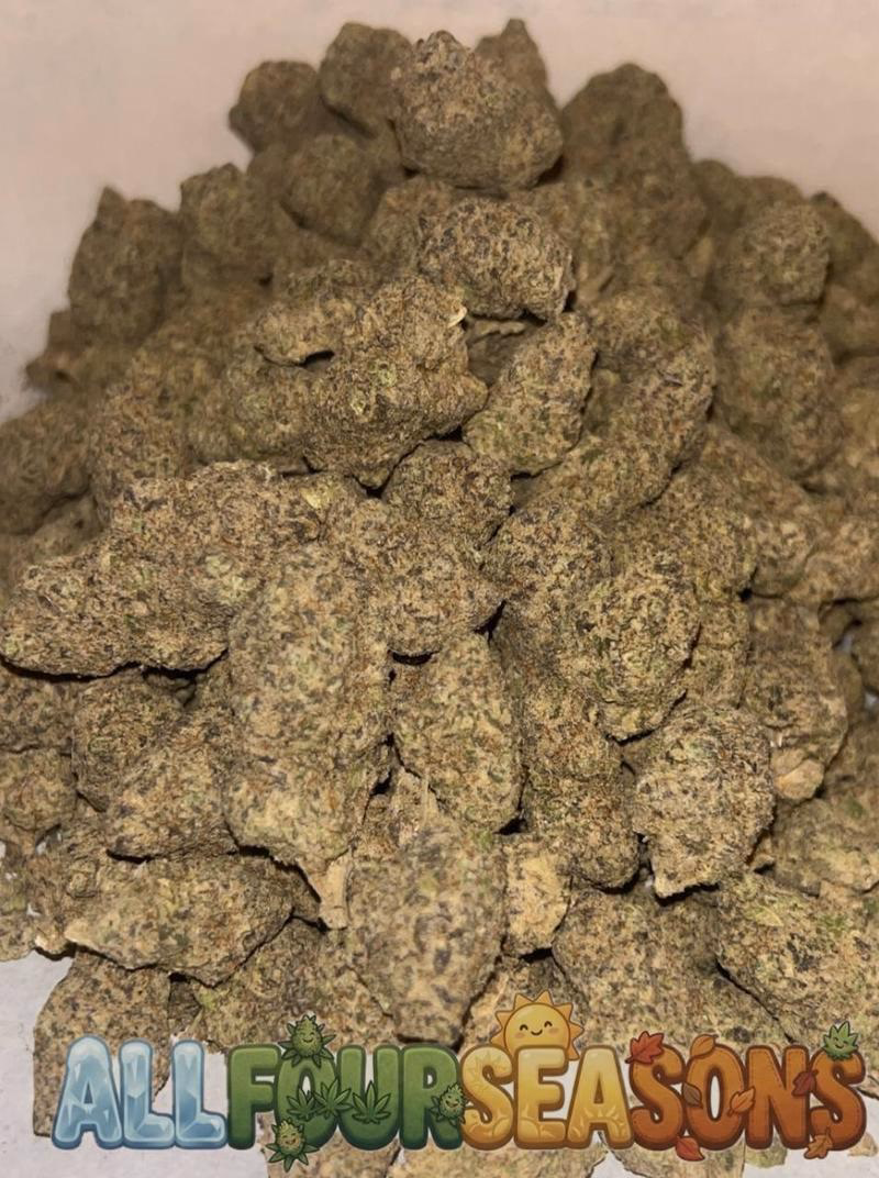 Cali 🇺🇸 (Exotics) 8