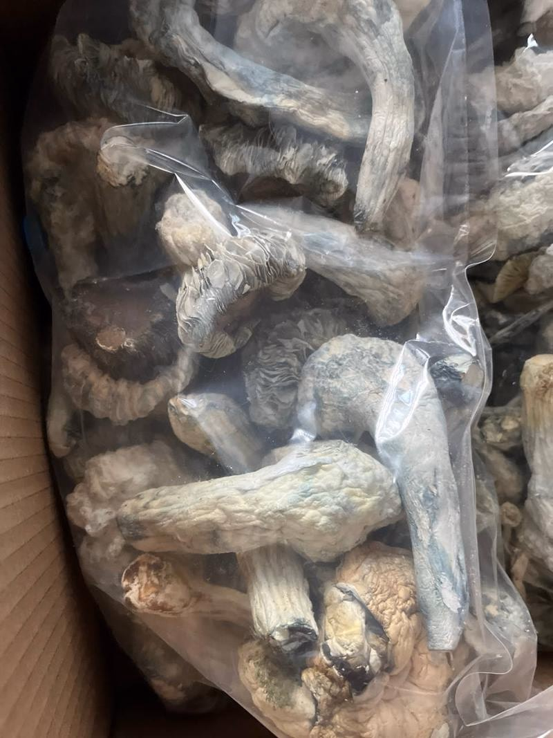 Mushies
