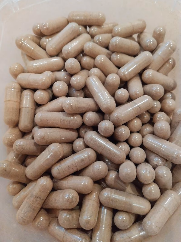 Microdose Caps inc. Ecuadorian, Lions Main &amp; Reishi +