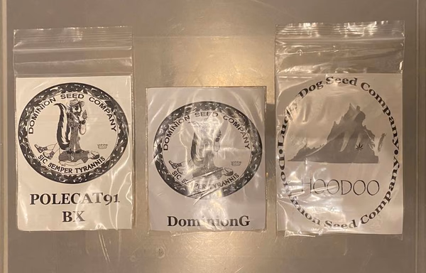 Dominion Seeds (USA)