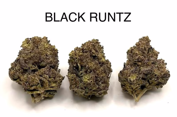 BLACK RUNTZ