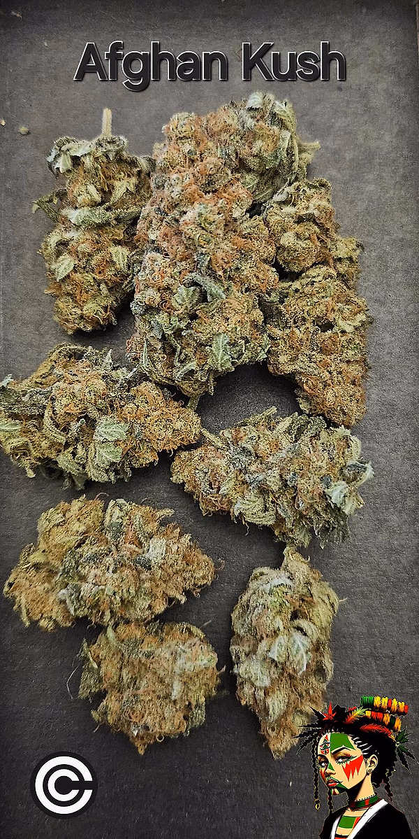 Afghan Kush