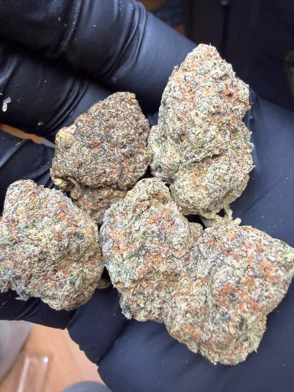 KING KUSH 🇹🇭