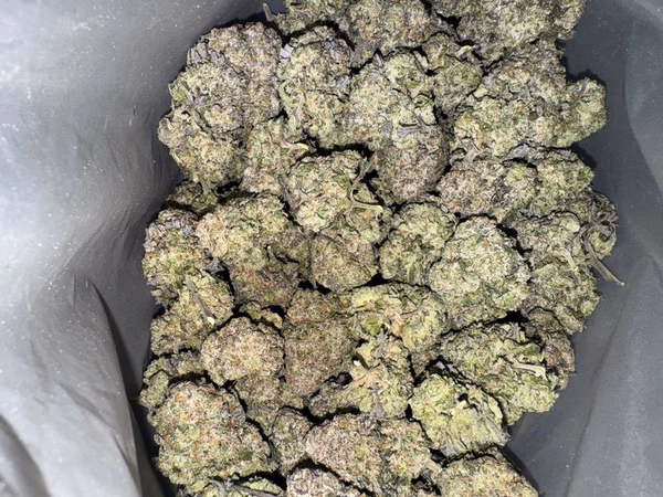 Purple Gelato (Shipped from Spain)