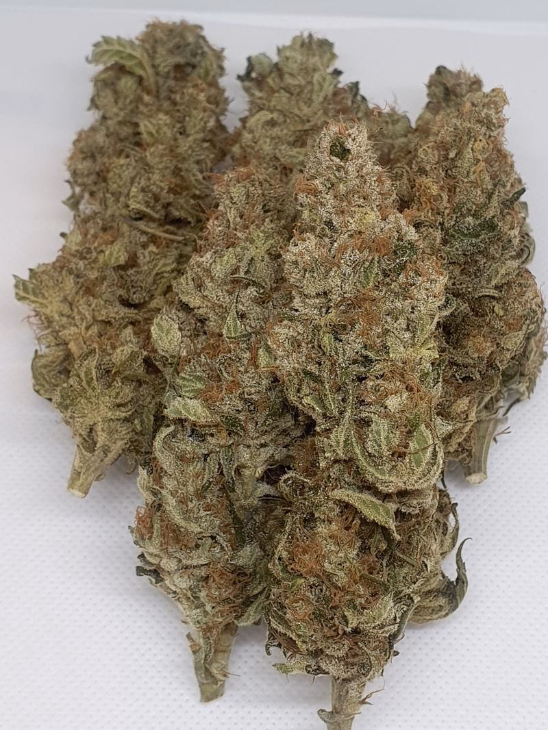 Wild Berry Punch, coco grown with organic amendments. 2