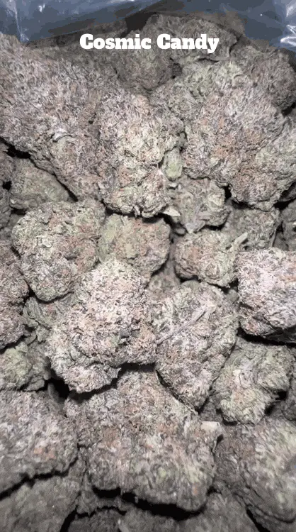 Top Shelf Exotics - Imported Loose Flower 6