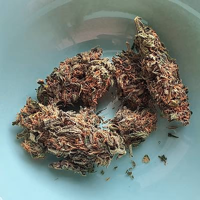 Review image 1