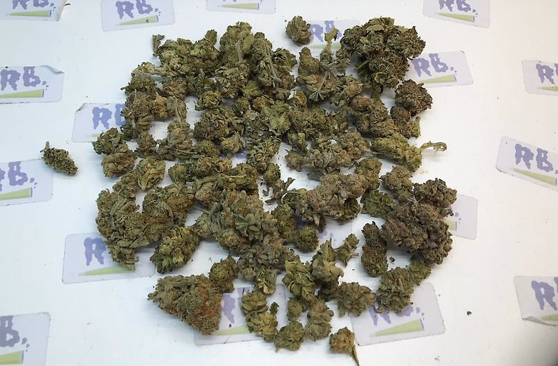 MIX BUCKET GRADE B