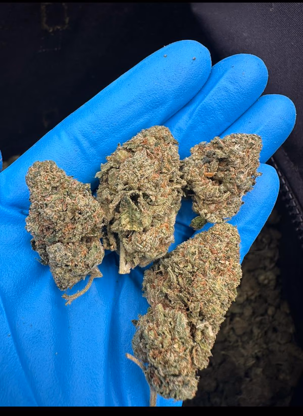 Blue Sunset Sherbet image