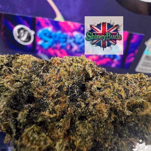 🇺🇸 Sherbanger WIZARD TREES