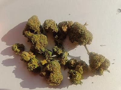 Review image 2