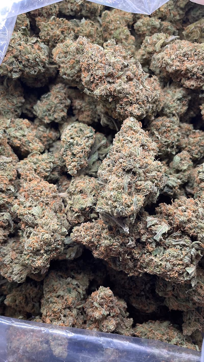 AMNESIA HAZE