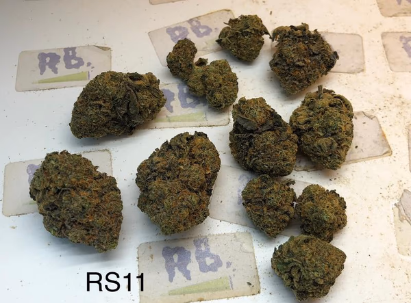 UK Exotics