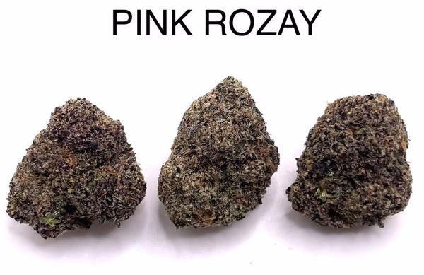 PINK ROZAY