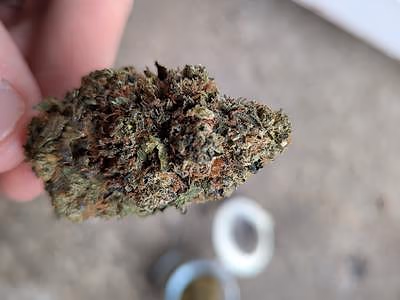 Review photo 1
