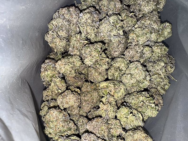 Purple Gelato (Enviado da Espanha)