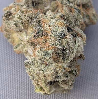 Review image 4