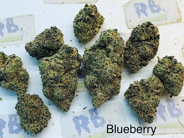 Cali Mids SPECIALS