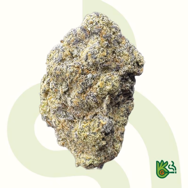 Chiquita Banana *Free Shipping* image