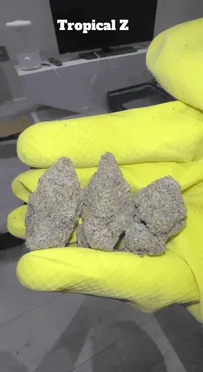 Top Shelf Exotics - Imported Loose Flower image