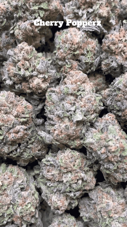 Cali Mids – Locker Import 🇺🇸 — Flower
