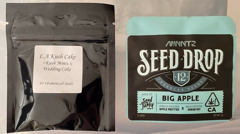 Seed Junky Genetics 3