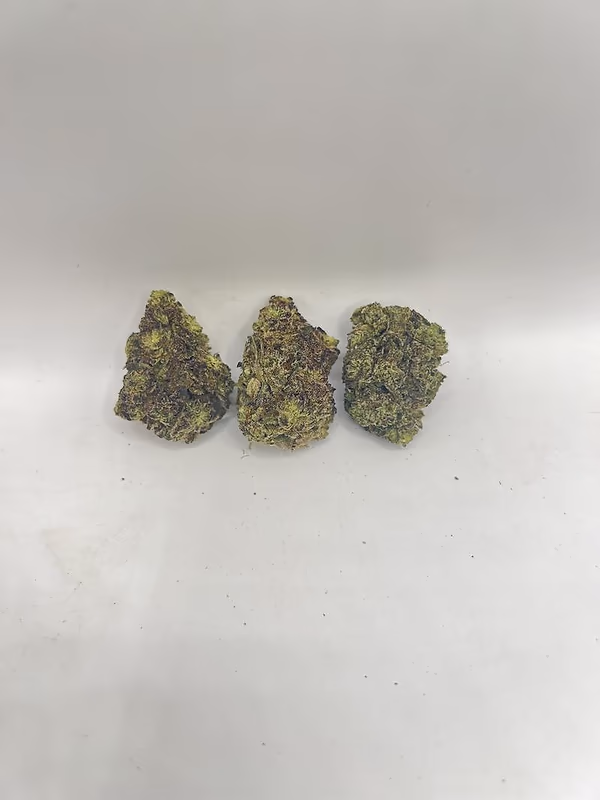GELATO MINTZ