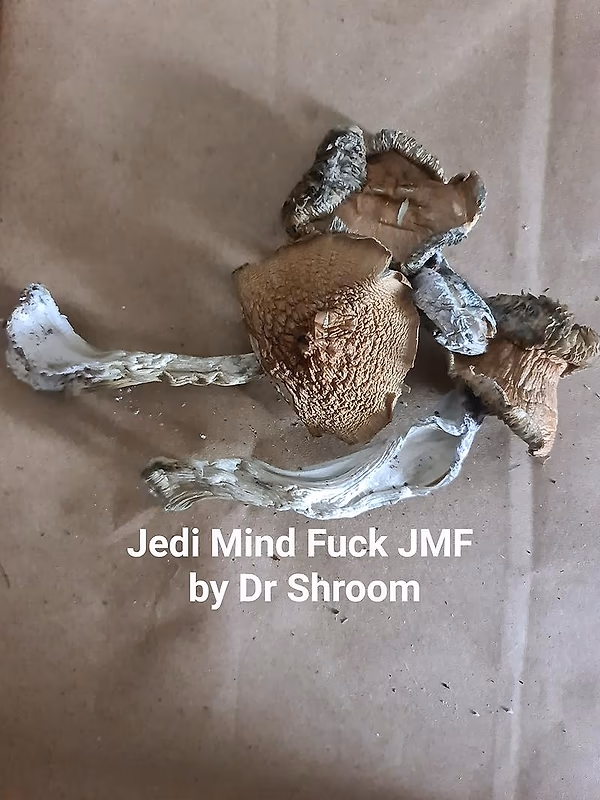 Jedi Mind Fuck JMF mushrooms