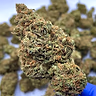 AMNESIA HAZE