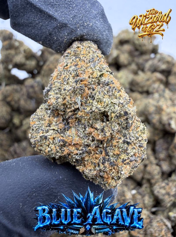 Cookies Strain: Blue Agave